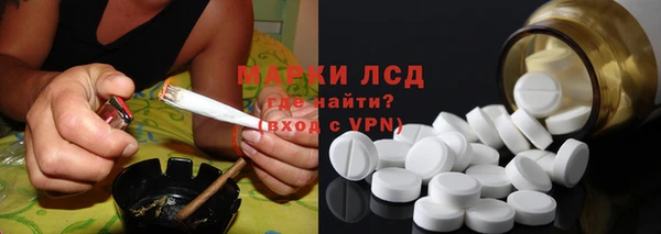индика Медногорск