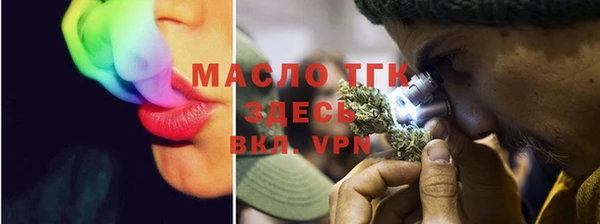 индика Медногорск