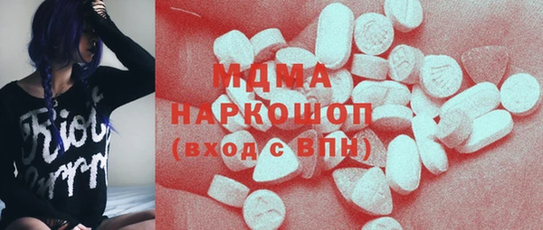 индика Медногорск
