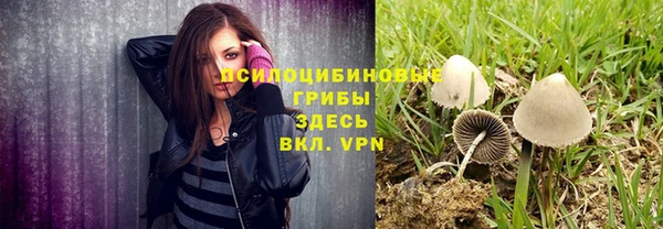 индика Медногорск