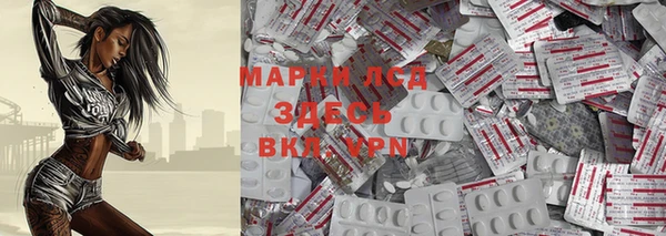 индика Медногорск