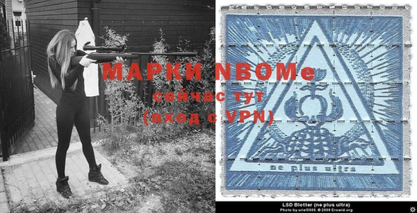 индика Медногорск