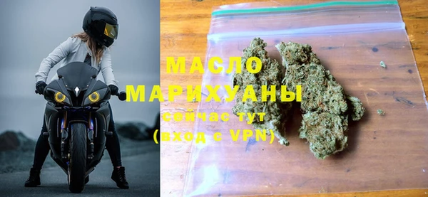 индика Медногорск