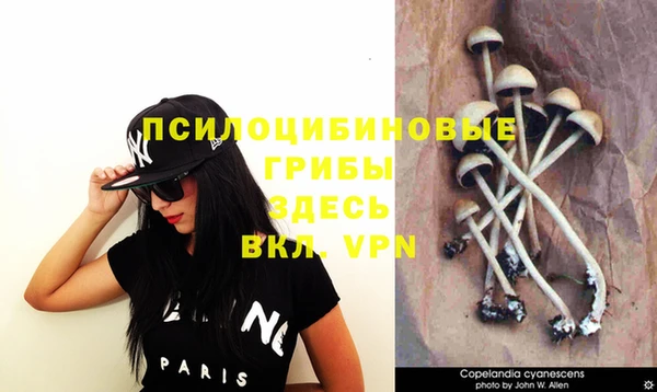 индика Медногорск