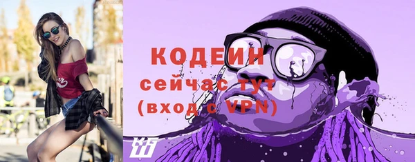 индика Медногорск